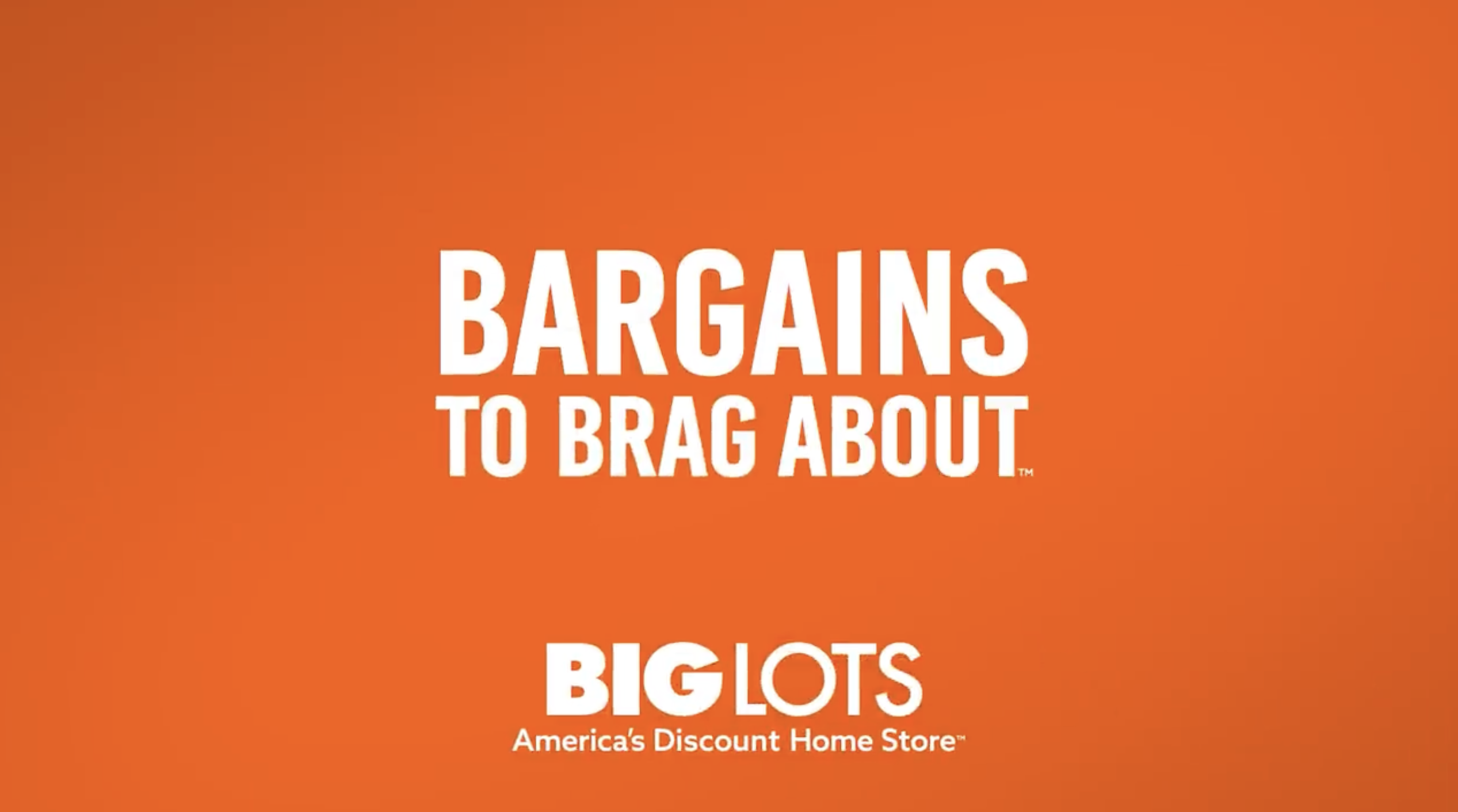 Big Lots cover